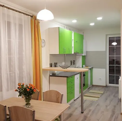 Apartament Schiller 58